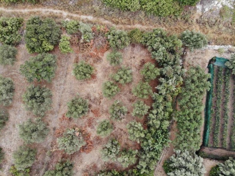 Almyrida Kreta, Almyrida: Grundstück mit Baurechten und Meerblick zu verkaufen Grundstück kaufen